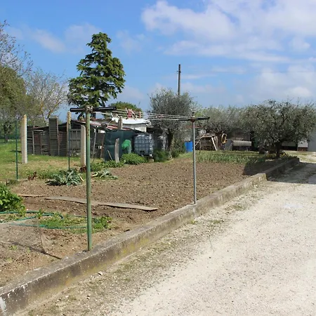 Oasi Dei Sogni